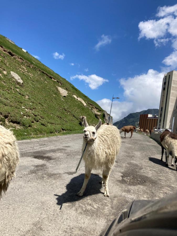 Studio Mongie Aux Pieds Des Pistes Avec Balcon La Mongie Dış mekan fotoğraf